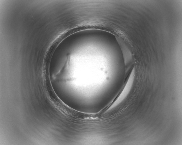 X0000053140680200507251816