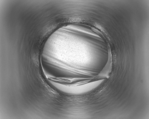 X0000053140681200507251816