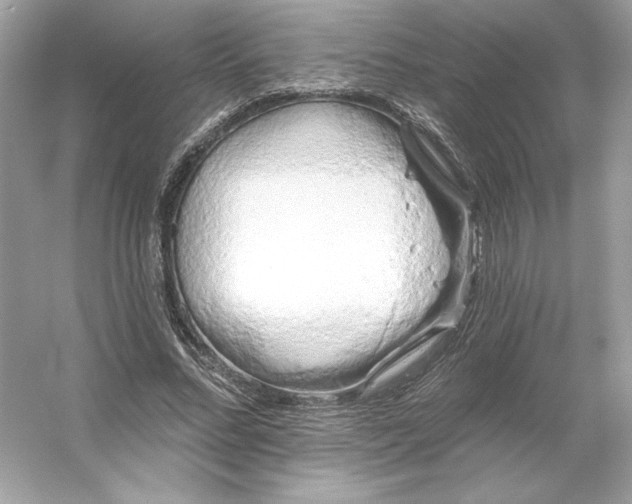 X0000053140684200507251816