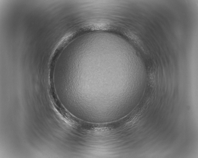 X0000053140686200507251816