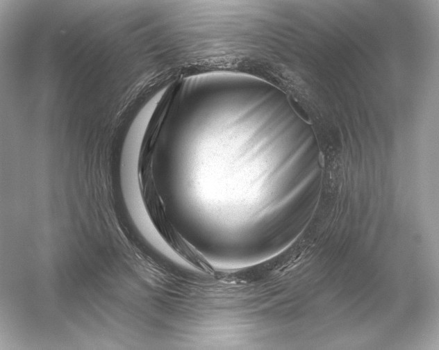 X0000053140693200507251816