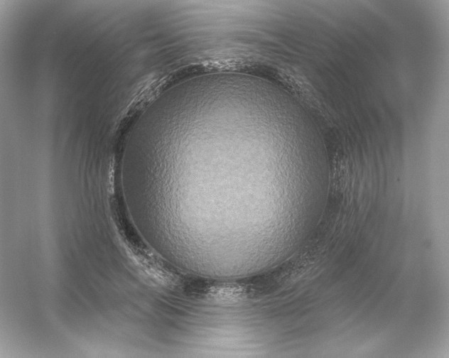 X0000053140694200507251816