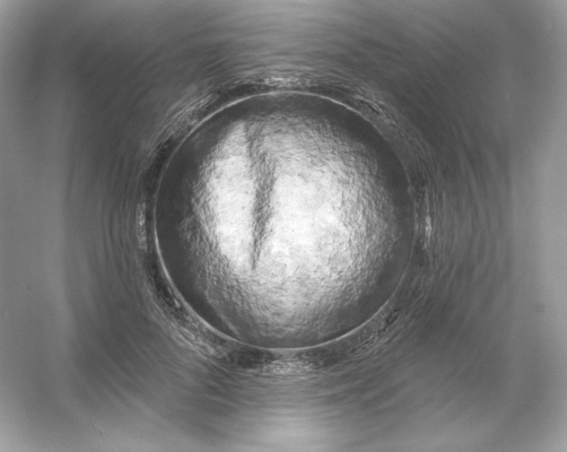 X0000053140696200507251816