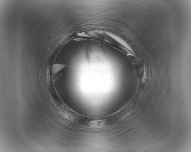 X0000053140700200507251816