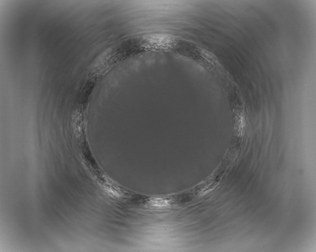 X0000053140701200507251816