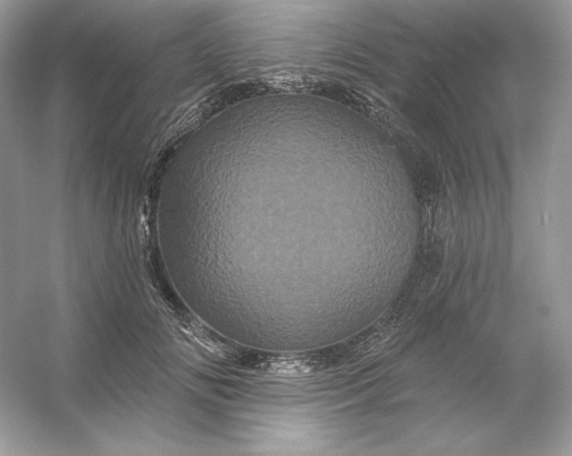 X0000053140702200507251816