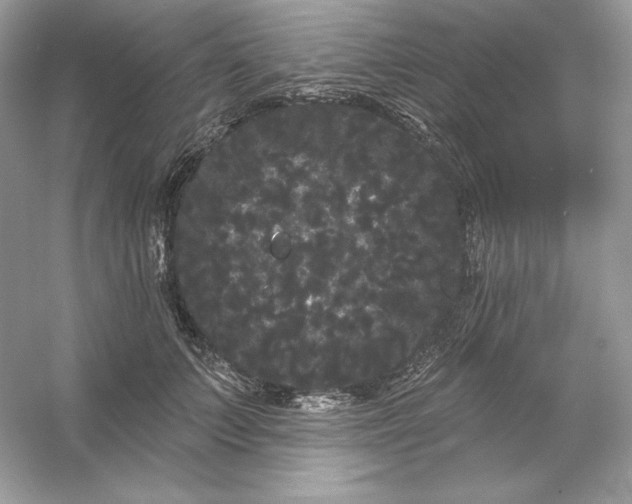 X0000053140703200507251815