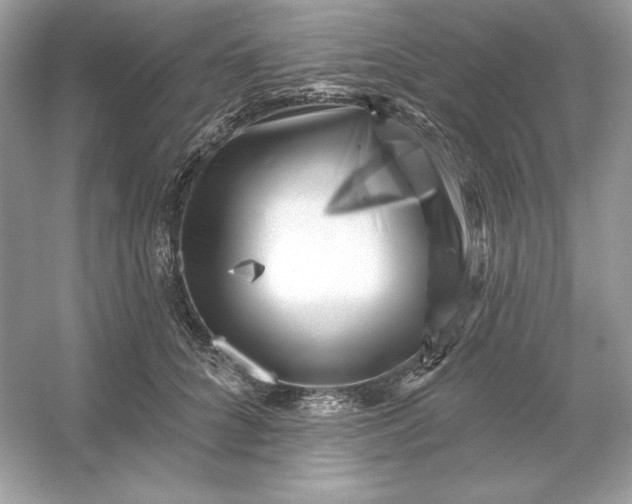 X0000053140704200507251815