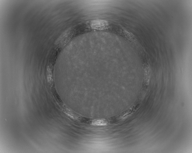 X0000053140705200507251815