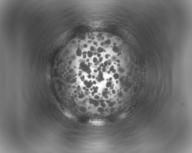 X0000053140710200507251815