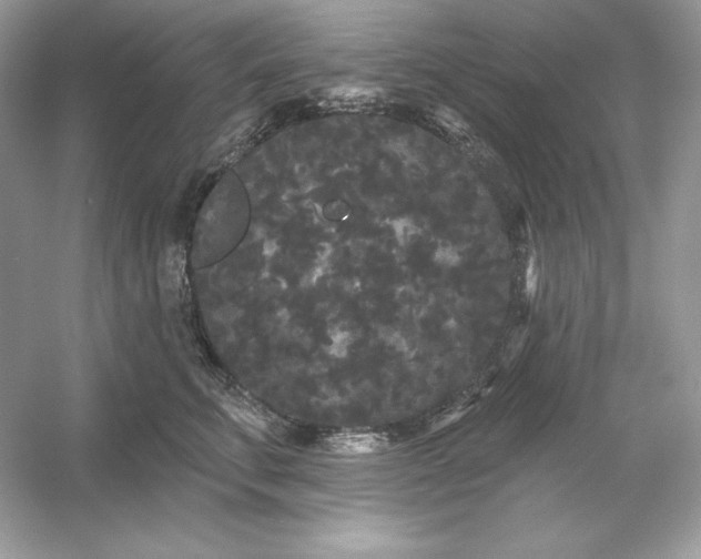 X0000053140711200507251815