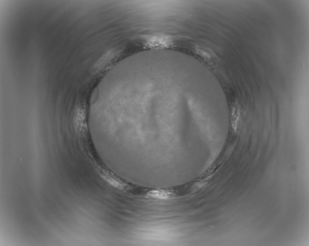 X0000053140714200507251815