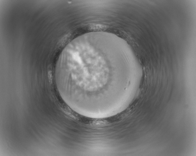 X0000053140716200507251815