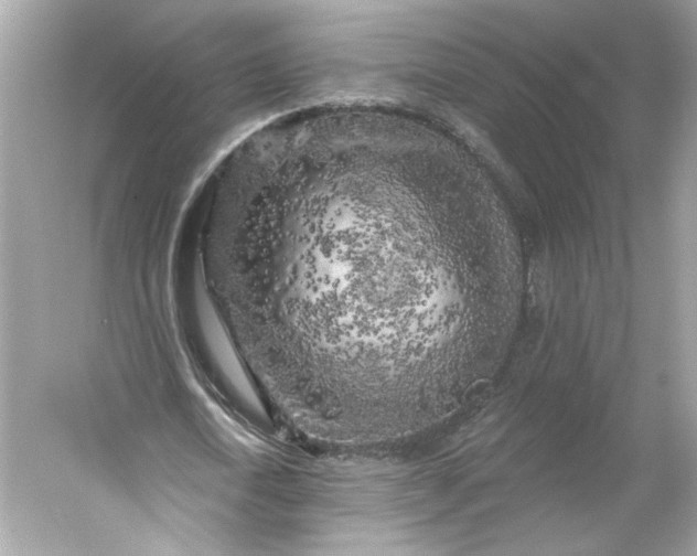 X0000053140722200507251814