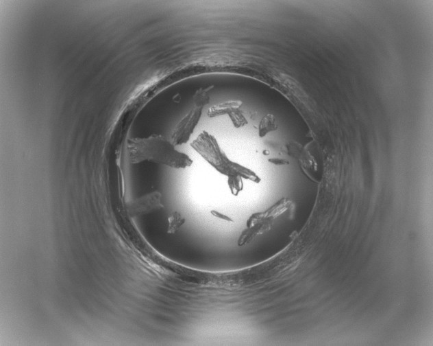 X0000053140727200507251814