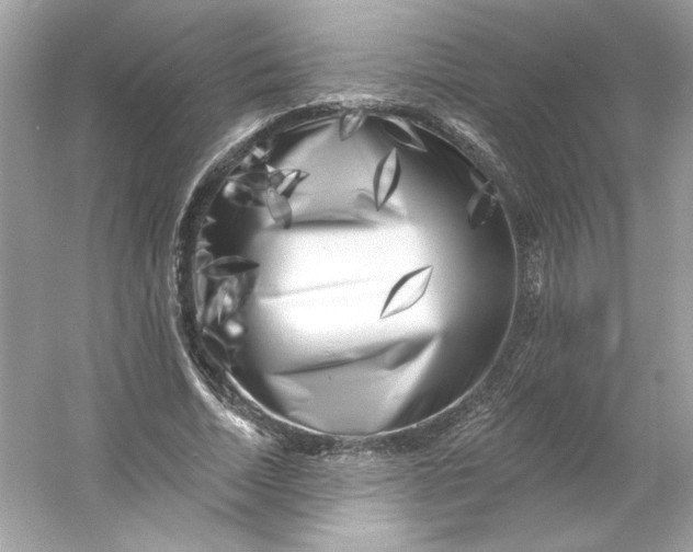 X0000053140730200507251815