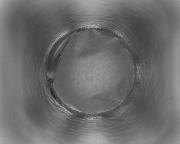 X0000053140731200507251815