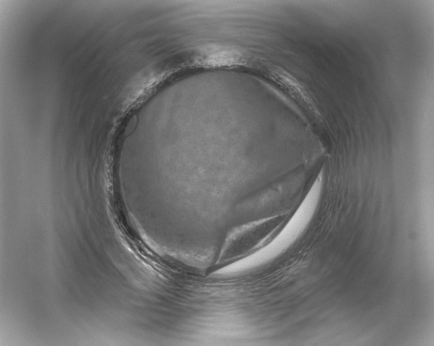 X0000053140732200507251815