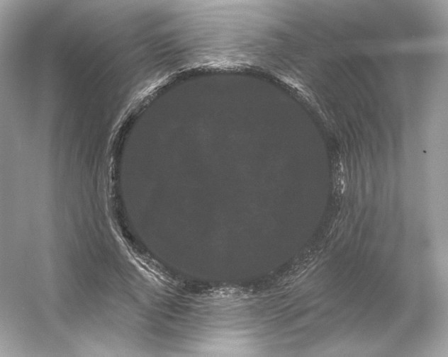 X0000053140736200507251815
