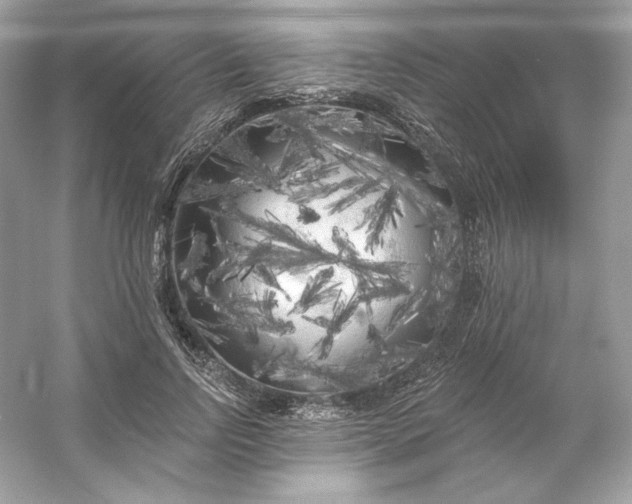 X0000053140742200507251815