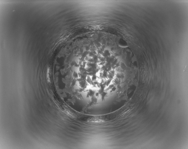 X0000053140747200507251815