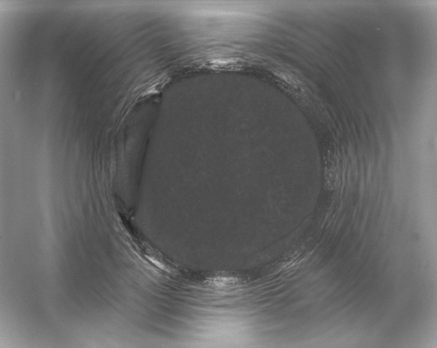 X0000053140748200507251815