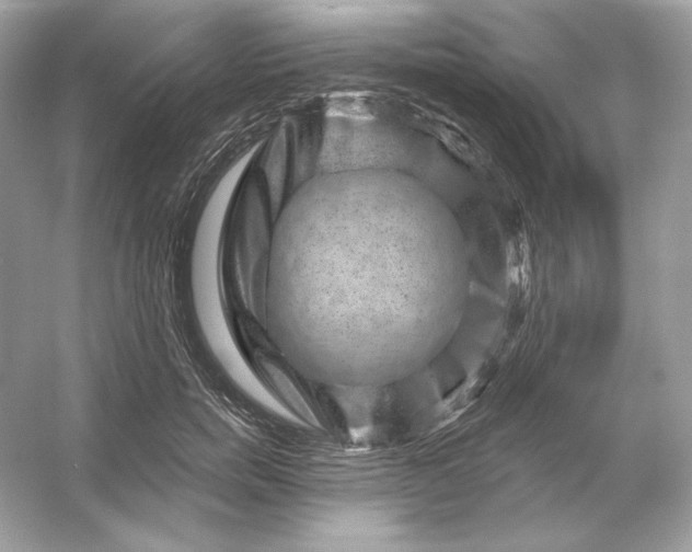 X0000053140750200507251815