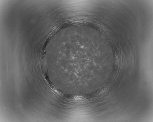 X0000053140753200507251815