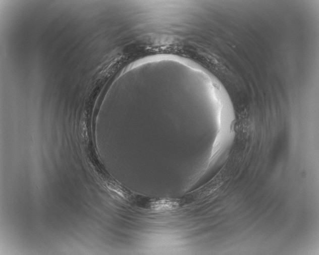X0000053140754200507251815