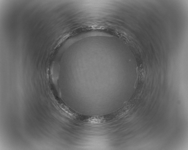 X0000053140756200507251815