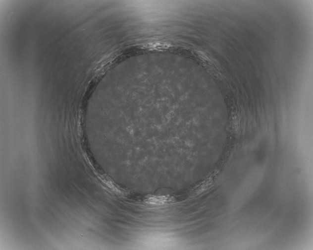 X0000053140757200507251815