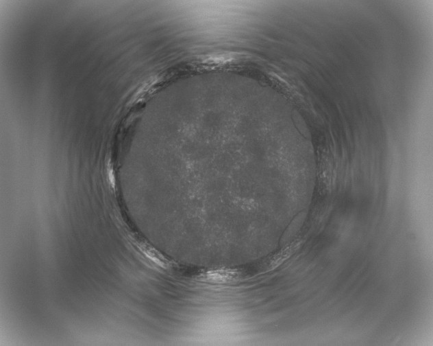 X0000053140758200507251815