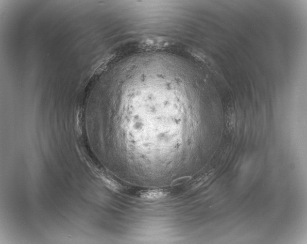 X0000053140759200507251815