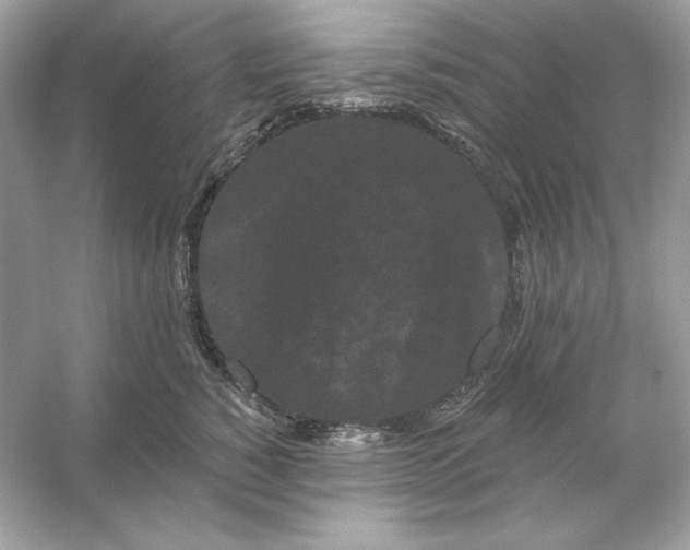 X0000053140760200507251815