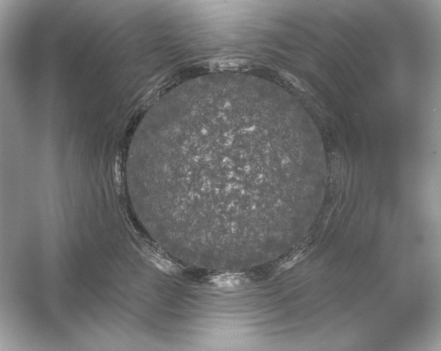 X0000053140761200507251815