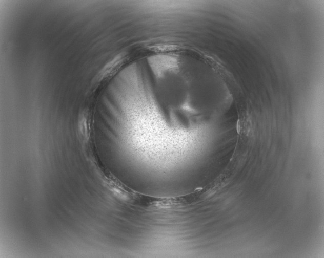X0000053140763200507251815