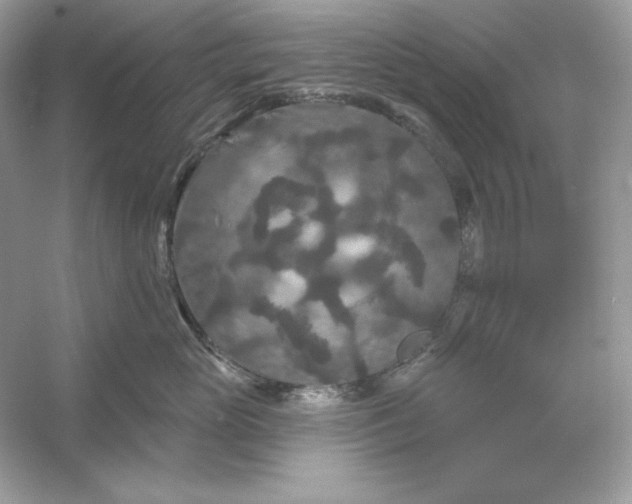 X0000053140765200507251815
