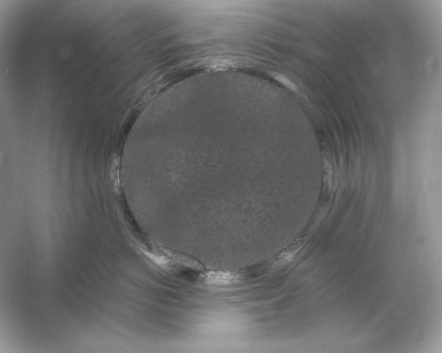 X0000053140766200507251815