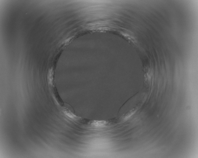 X0000053140767200507251815