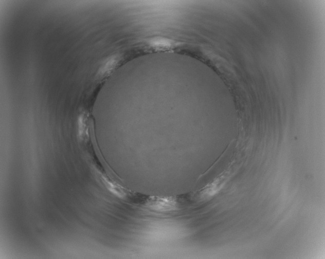 X0000053140768200507251815