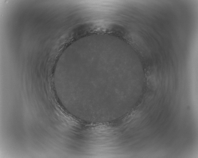 X0000053140769200507251814