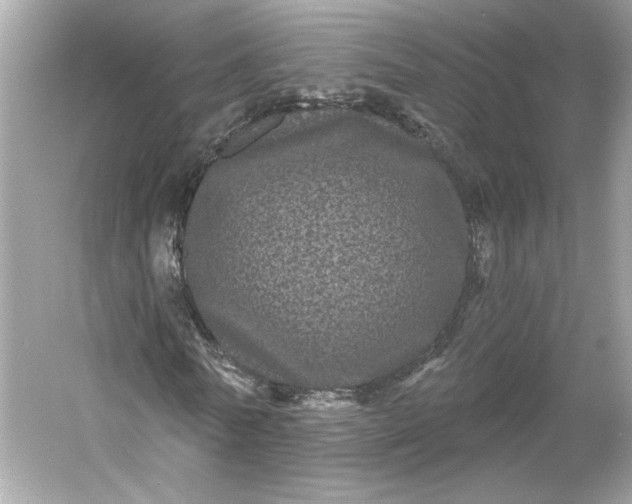 X0000053140770200507251814