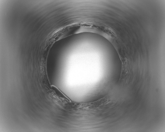 X0000053140773200507251814