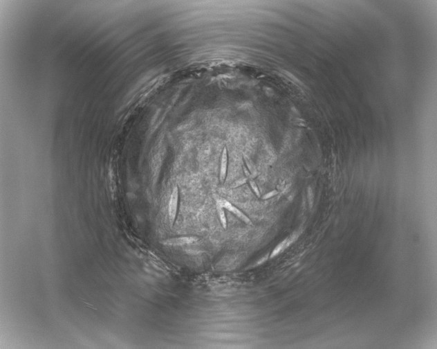 X0000053140774200507251814