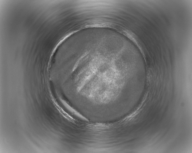 X0000053140787200507251814