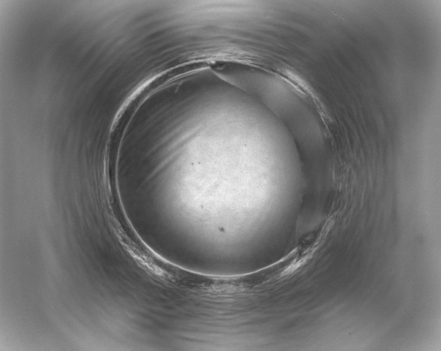 X0000053140788200507251814