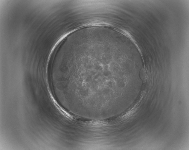 X0000053140795200507251814