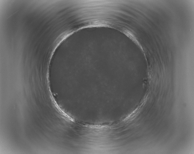 X0000053140797200507251814