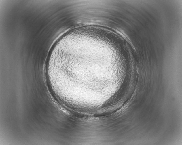 X0000053140798200507251814