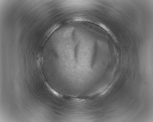 X0000053140801200507251814